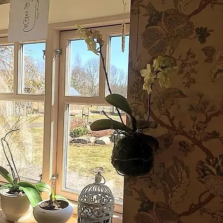 Ollallaa Hiiumaa Ubytování v soukromí