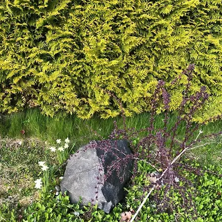 Ubytování v soukromí Ollallaa Hiiumaa