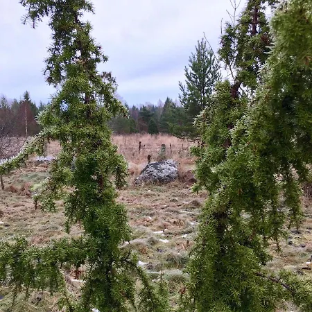 Ollallaa Hiiumaa *