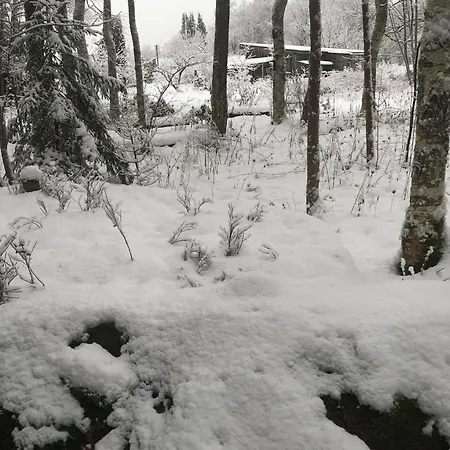 Ollallaa Hiiumaa *