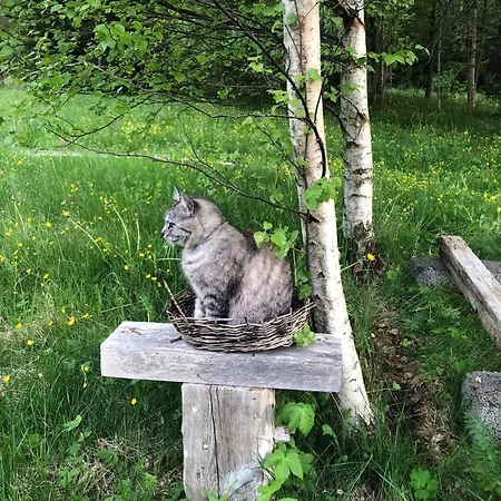 Ollallaa Hiiumaa * Kõrgessaare